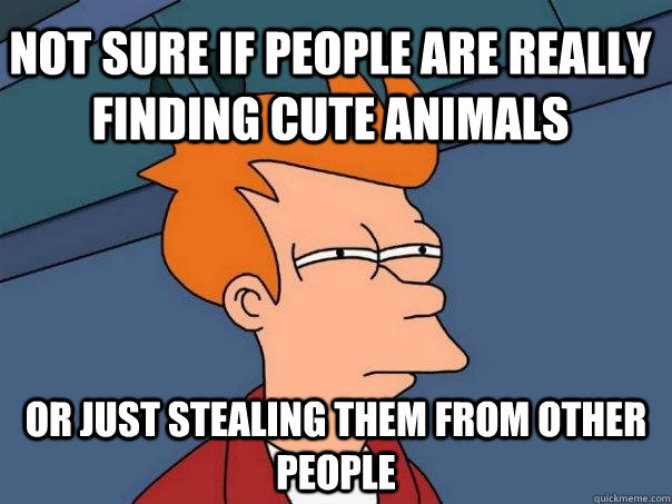 not sure if people are really finding cute animals or just stealing them from other people  Futurama Fry