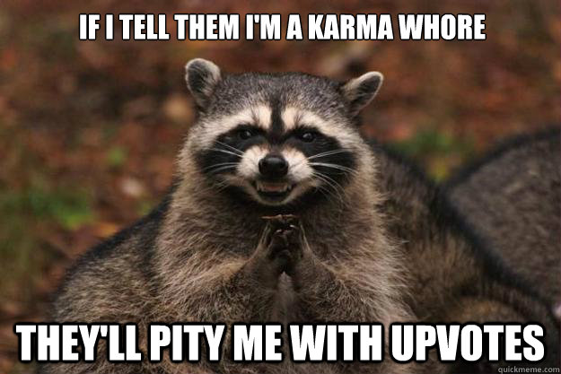 If I tell them I'm a Karma Whore They'll pity me with upvotes  Evil Plotting Raccoon