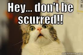 Don't be Scurred - HEY... DON'T BE SCURRED!!  Misc