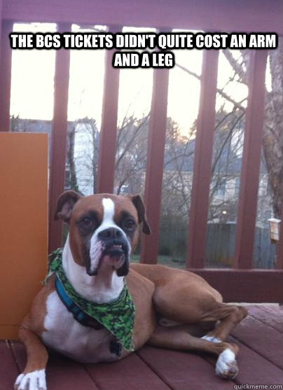 Long legged dog  Funny animal pictures, Animal memes, Funny cute