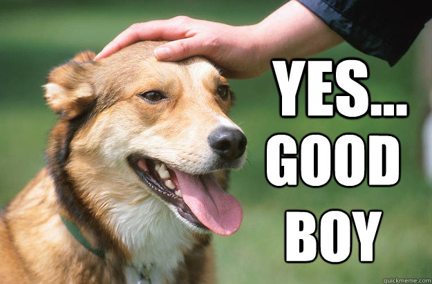 yes... good 
boy  Good Boy