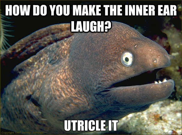 How do you make the inner ear laugh? Utricle it  Bad Joke Eel