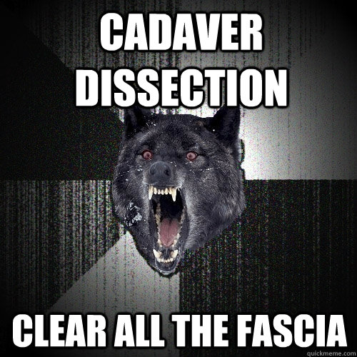 Cadaver Dissection Clear all the fascia  Insanity Wolf