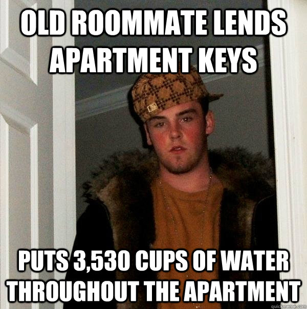 old roommate lends apartment keys puts 3,530 cups of water throughout the apartment  Scumbag Steve