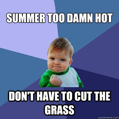 Summer too damn hot Don't have to cut the grass  Success Kid