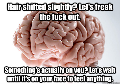 Hair shifted slightly? Let's freak the fuck out. Something's actually on you? Let's wait until it's on your face to feel anything.  Scumbag Brain