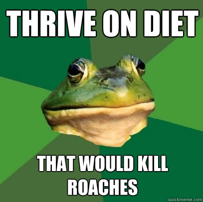 thrive on diet that would kill roaches  Foul Bachelor Frog