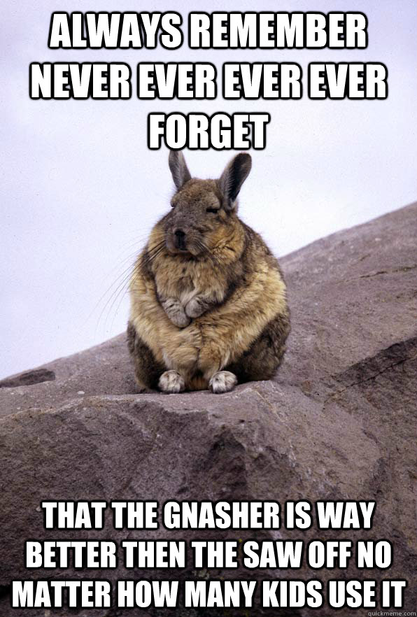 Always remember never ever ever ever forget  that the gnasher is way better then the saw off no matter how many kids use it  Wise Wondering Viscacha