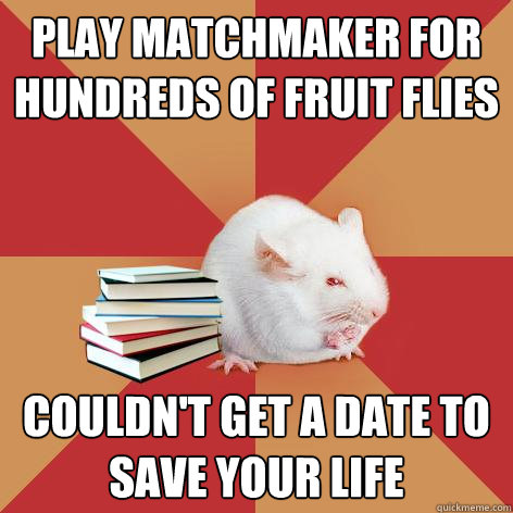 play matchmaker for hundreds of fruit flies couldn't get a date to save your life - play matchmaker for hundreds of fruit flies couldn't get a date to save your life  Science Major Mouse