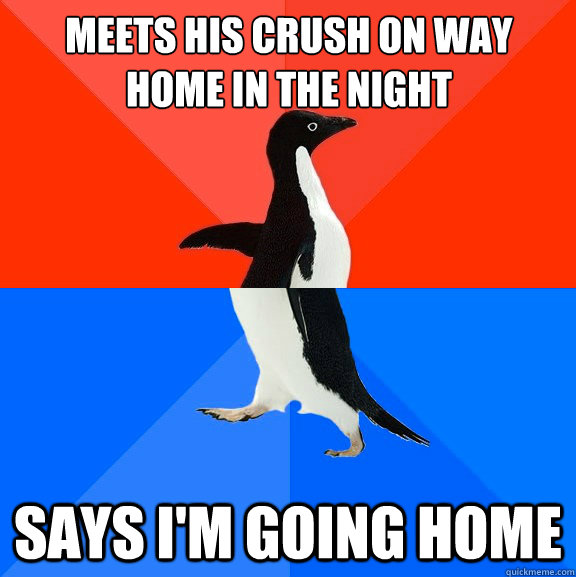 Meets his crush on way home in the night says i'm going home - Meets his crush on way home in the night says i'm going home  Socially Awesome Awkward Penguin