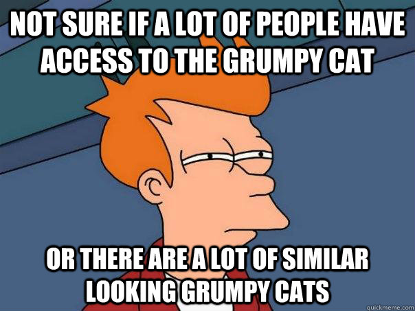 Not sure if a lot of people have access to the grumpy cat Or there are a lot of similar looking grumpy cats  Futurama Fry