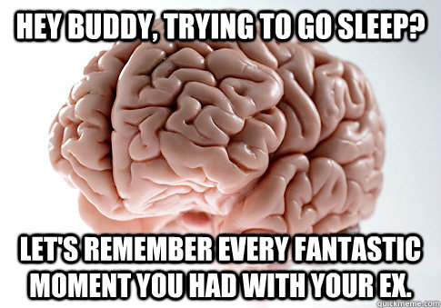 HEY BUDDY, TRYING TO GO SLEEP? LET'S REMEMBER EVERY FANTASTIC MOMENT YOU HAD WITH YOUR EX.   Scumbag Brain