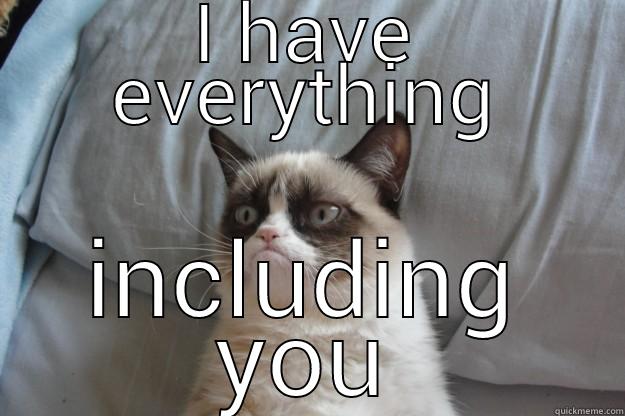 mean cat - I HAVE EVERYTHING INCLUDING YOU Grumpy Cat