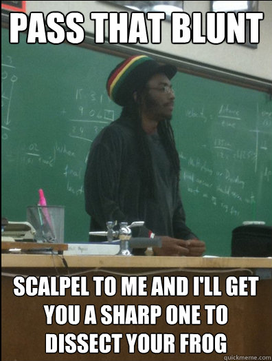 Pass that Blunt Scalpel to me and I'll get you a sharp one to dissect your frog  Rasta Science Teacher