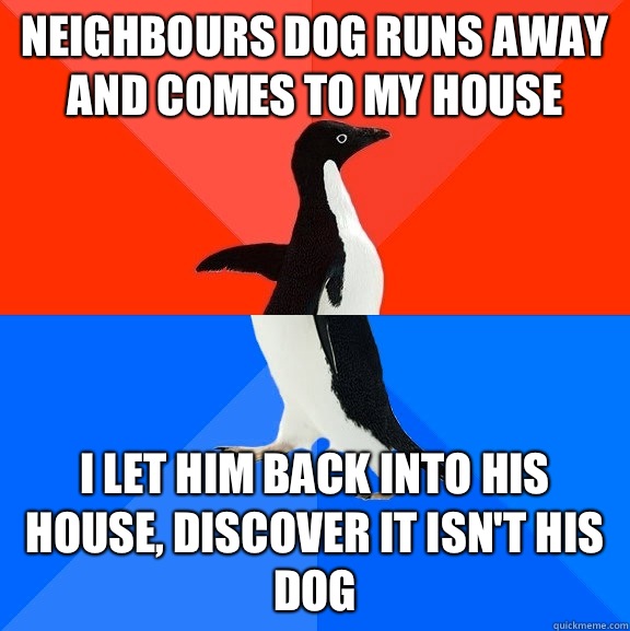 Neighbours dog runs away and comes to my house I let him back into his house, discover it isn't his dog - Neighbours dog runs away and comes to my house I let him back into his house, discover it isn't his dog  Socially Awesome Awkward Penguin