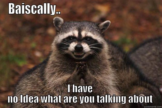 BAISCALLY..                                          I HAVE NO IDEA WHAT ARE YOU TALKING ABOUT Evil Plotting Raccoon