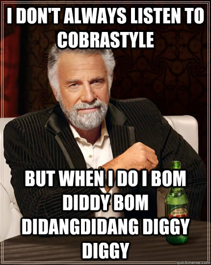 i don't always listen to cobrastyle but when i do i bom diddy bom didangdidang diggy diggy  The Most Interesting Man In The World