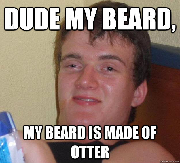 Dude my beard, my beard is made of otter  10 Guy