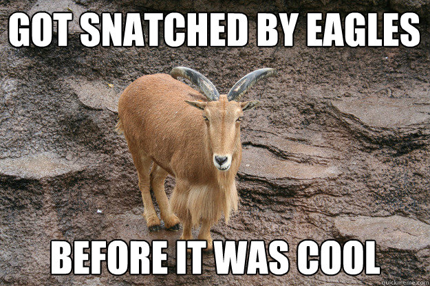 got snatched by eagles before it was cool - got snatched by eagles before it was cool  Misc