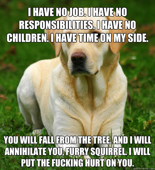 I have no job. I have no responsibilities. I have no children. I have time on my side. You will fall from the tree. And I will annihilate you, furry squirrel. I will put the fucking hurt on you.  Dog Logic