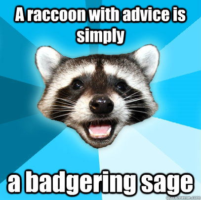 A raccoon with advice is simply a badgering sage - A raccoon with advice is simply a badgering sage  Lame Pun Coon