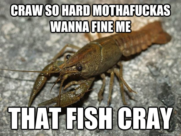 CRAW SO HARD MOTHAFUCKAS WANNA FINE ME THAT FISH CRAY  that fish cray