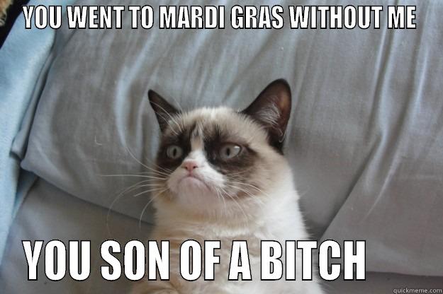 YOU WENT TO MARDI GRAS WITHOUT ME YOU SON OF A BITCH       Grumpy Cat