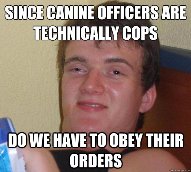 Since canine officers are technically cops Do we have to obey their orders  10 Guy