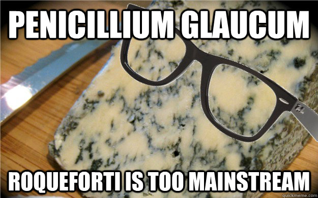 Penicillium glaucum roqueforti is too mainstream  