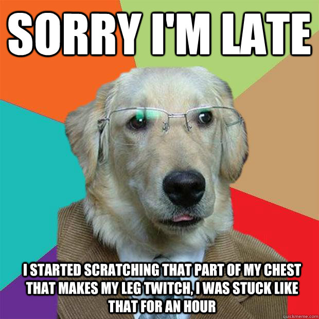 Sorry I'm late I started scratching that part of my chest that makes my leg twitch, I was stuck like that for an hour - Sorry I'm late I started scratching that part of my chest that makes my leg twitch, I was stuck like that for an hour  Business Dog