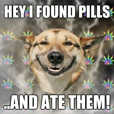 HEy i found pills ..and ate them!  Stoner Dog