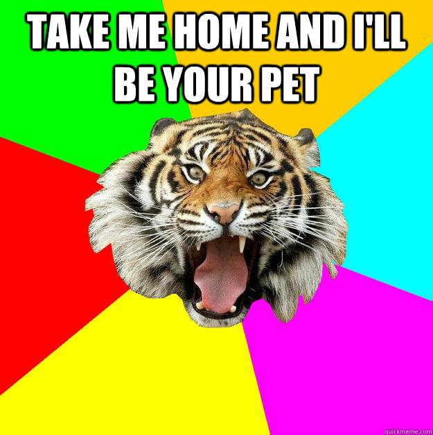 take me home and I'll be your pet   Time of the Month Tiger