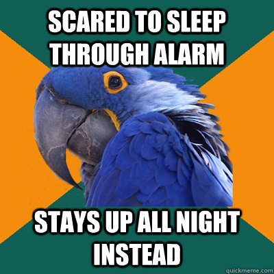 Scared to sleep through alarm stays up all night instead - Scared to sleep through alarm stays up all night instead  Paranoid Parrot