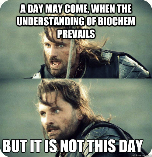 a day may come, when the understanding of biochem prevails but it is not this day  Aragorn Inspirational Speech