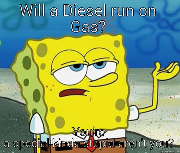 WILL A DIESEL RUN ON GAS? YOU'RE A SPECIAL KINDA STUPID AREN'T YOU? Tough Spongebob