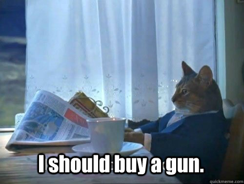 I should buy a gun. - I should buy a gun.  Fancy Cat