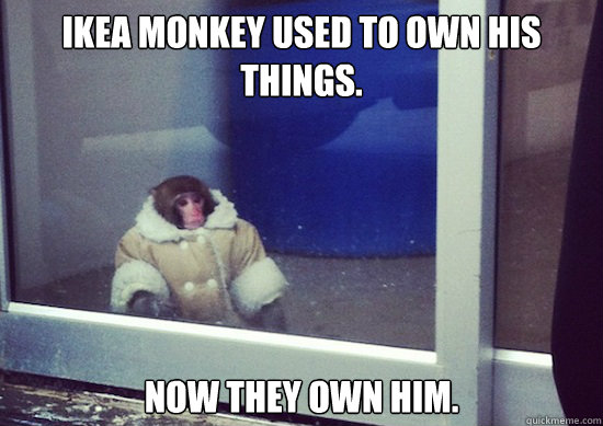Ikea Monkey used to own his things. Now they own him.  