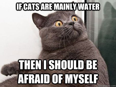 if cats are mainly water then i should be afraid of myself  conspiracy cat