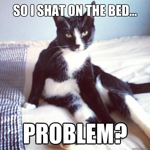 so i shat on the bed... problem? - so i shat on the bed... problem?  catttciiik