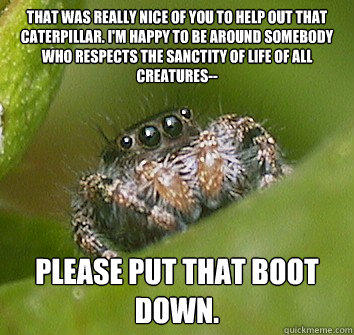 That was really nice of you to help out that caterpillar. I'm happy to be around somebody who respects the sanctity of life of all creatures-- please put that boot down.  