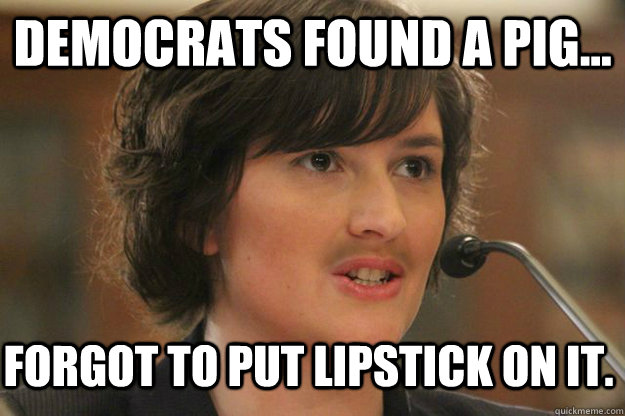 DEMOCRATS FOUND A PIG... FORGOT TO PUT LIPSTICK ON IT.  Slut Sandra Fluke