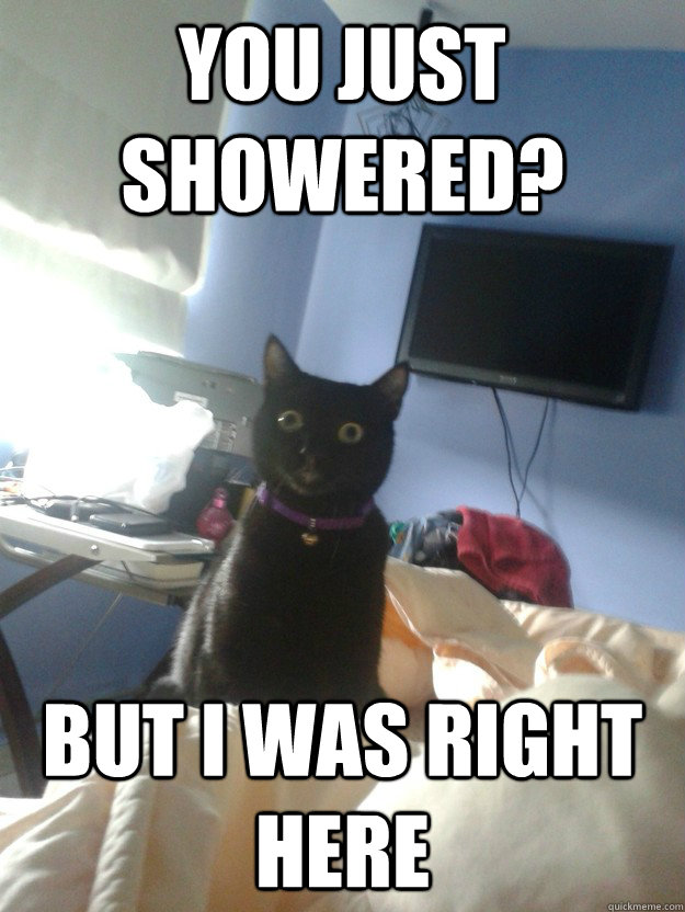 You just Showered? But I was right here  overly attached cat