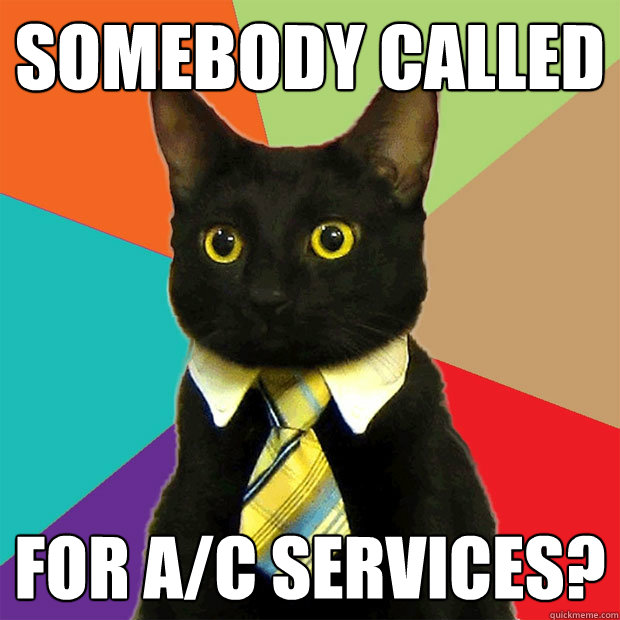 Somebody called for A/c services?  Business Cat