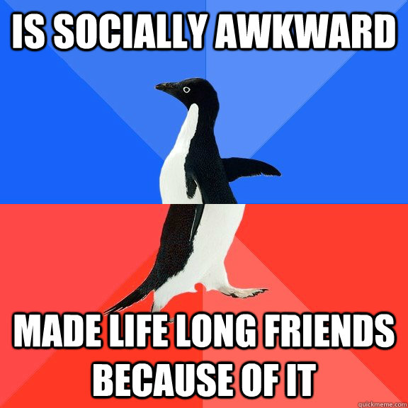Is socially awkward Made life long friends because of it  Socially Awkward Awesome Penguin