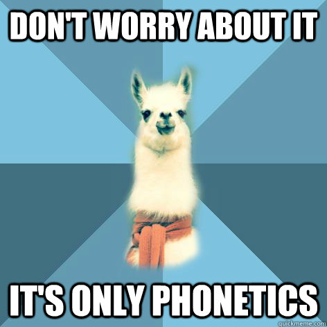 Don't worry about it it's only phonetics - Don't worry about it it's only phonetics  Linguist Llama