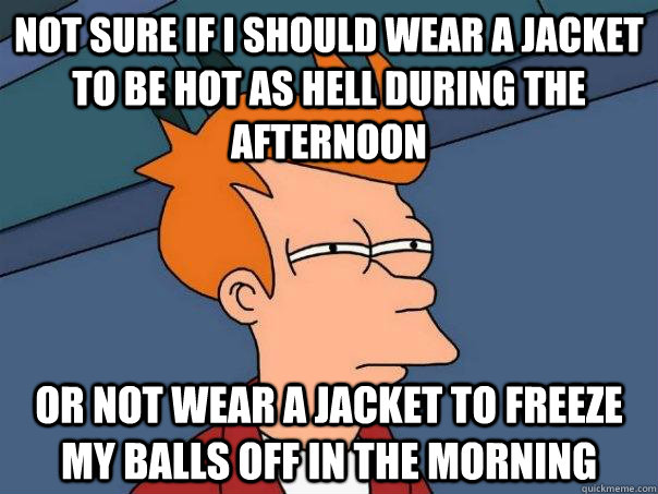 Not sure if I should wear a jacket to be hot as hell during the afternoon or not wear a jacket to freeze my balls off in the morning - Not sure if I should wear a jacket to be hot as hell during the afternoon or not wear a jacket to freeze my balls off in the morning  Futurama Fry