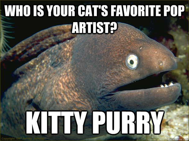 Who is your cat's favorite pop artist? Kitty purry   Bad Joke Eel