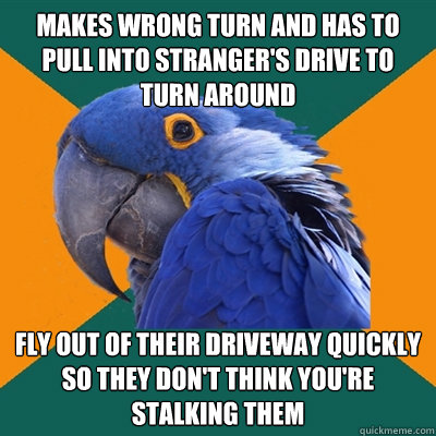 Makes wrong turn and has to pull into stranger's drive to turn around Fly out of their driveway quickly so they don't think you're stalking them  Paranoid Parrot