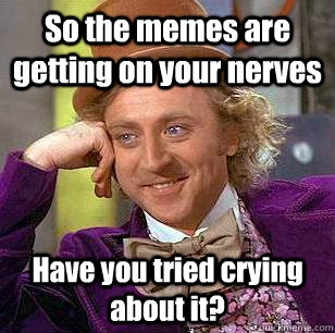 So the memes are getting on your nerves Have you tried crying about it? - So the memes are getting on your nerves Have you tried crying about it?  Condescending Wonka