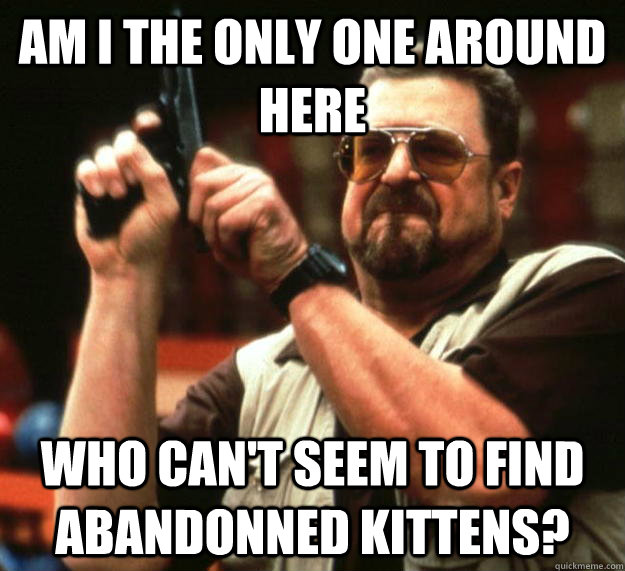 am I the only one around here Who can't seem to find abandonned kittens?  Angry Walter